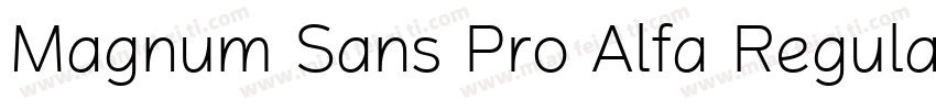 Magnum Sans Pro Alfa Regular 4字体转换